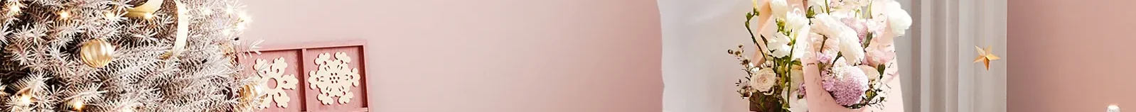 Boutique pet & maison : tendance, confort & promos régulières